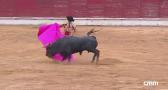 Novillada mixta desde Sigüenza