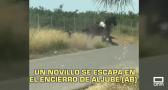 El día en Titulares. 17/08/2026