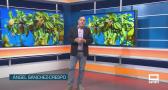 El campo - 18/08/2026