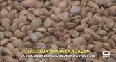 La lonja de la almendra arranca al alza - 21/08/2026
