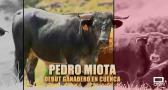 Tiempo de toros (22/08/2026)