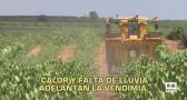 Castilla-La Mancha fin de semana a las 2 22/08/2026