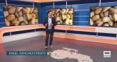 El campo - 28/08/2026