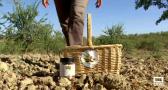 Conocemos a Laura Leal y su explotación de almendras