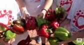 Villanueva de los Infantes prepara su Feria del Pimiento