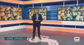 El campo - 02/09/2026