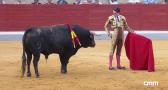 Novillada desde Villaseca de la Sagra (04/05/2026)