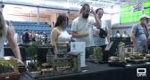 Primer Concurso de Modelismo en Bargas