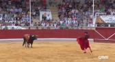 Novillada desde Villaseca de la Sagra (05/09/2026)