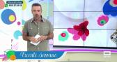 Estando Contigo (07/09/2026)