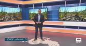 El campo - 08/09/2026