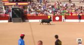 Emoción en los encierros de las Fiestas de El Casar
