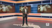 El campo - 10/09/2026
