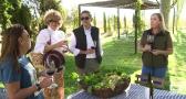 Recoger uva y procesarla: la experiencia de visitar la bodega de La Guardia, en Toledo