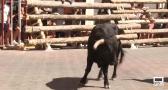 Elche de la Sierra da el pistoletazo de salida a sus encierros