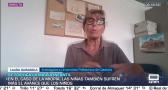 Entrevista a Laura Guisasola