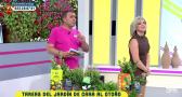 Tareas del jardín de cara al otoño