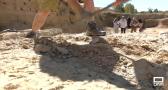 Descubren huesos de dinosaurio en el yacimiento de Algora, Guadalajara
