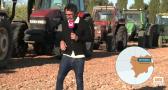 Concurso de corte con tractor en Munera