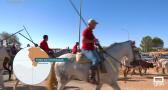 Primer encierro de las fiestas en honor a San Mateo en Pozo de Guadalajara