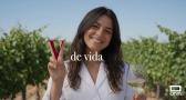 La D.O. Valdepeñas prepara acciones para poner en valor sus vinos