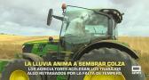 La lluvia anima a sembrar colza - 02/10/2026