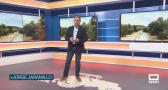 El campo - 05/10/2026