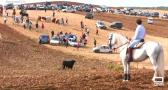Encierro por el campo en Málaga del Fresno