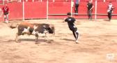 Cardiel de los Montes finaliza sus fiestas con un encierro y arroz con bogavante