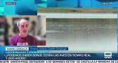 Entrevista a Gabriel Gargallo - 8/10/2026