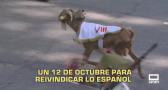 Castilla-La Mancha a las 2 - 12/10/2026
