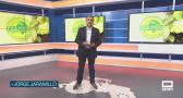 El campo - 13/10/2026