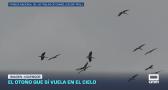 Previsión del tiempo - 14/10/2026