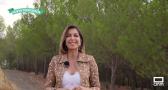 Este miércoles se estrena la 10ª edición de 'El Pueblo Más Bonito de Castilla-La Mancha'