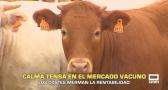 Calma tensa en el mercado vacuno - 23/10/2026