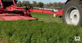 Elaboramos microsilos de alfalfa en Toledo