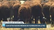 Castilla-La Mancha activa nuevas medidas de flexibilidad en la PAC - 17/05/23