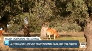 Autorizado el pienso convencional para los ecológicos - 24/05/23