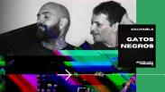 Al Habla 808: Gatos Negros