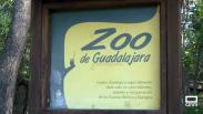 Zoo de Guadalajara: centro dedicado a la recuperación de la fauna ibérica y europea