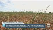 Castilla-La Mancha reclama más margen en la PAC por la climatología - 18/03/24