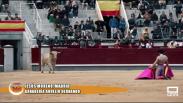 Tiempo de Toros (11/05/2024)