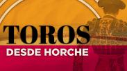 Toros desde Horche (11/05/2024)