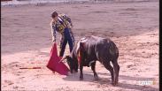 Novillada sin picadores desde Talavera de la Reina (19/05/2024)