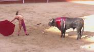 Corrida mixta desde Trillo (23/06/2024)