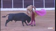 Novillada sin picadores desde Yepes (06/07/2024)