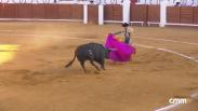 Toros desde Manzanares (13/07/2024)