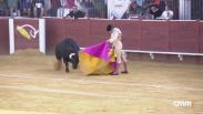 Toros desde Almadén (26/07/2024)