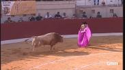 Toros desde Villacañas (04/08/2024)