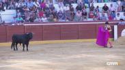 Toros desde Socuéllamos (10/08/2024)